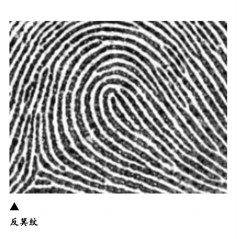 反箕